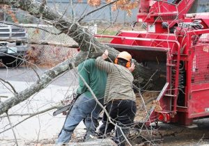 demolition n co sydney